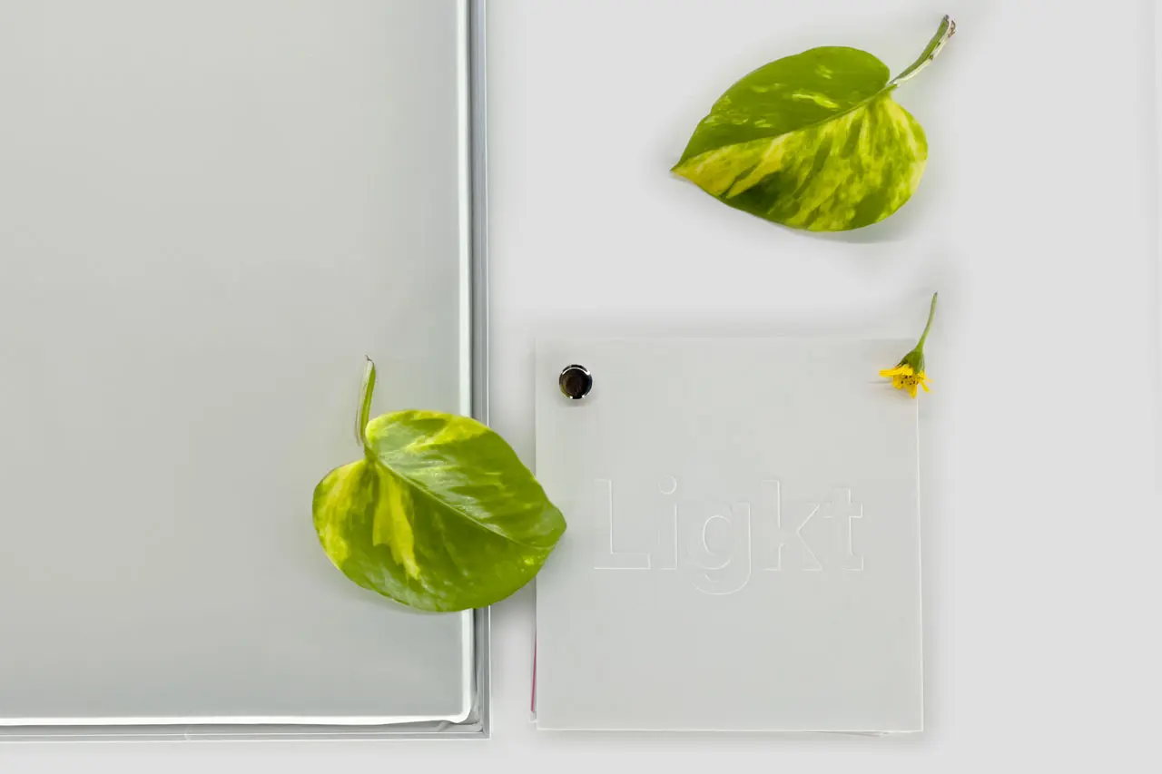 A minimalist arrangement of translucent light grey panels with green and yellow leaves placed beside them, featuring an etched "Ligkt" text on one panel.