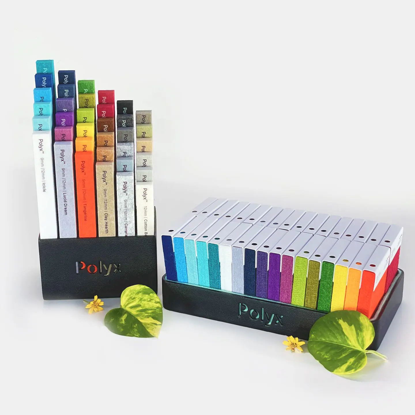 Two black holders display colorful rectangular samples labeled “Poly” in white, each in different shades. Two green leaves and small yellow flowers are placed in front, all on a white background.