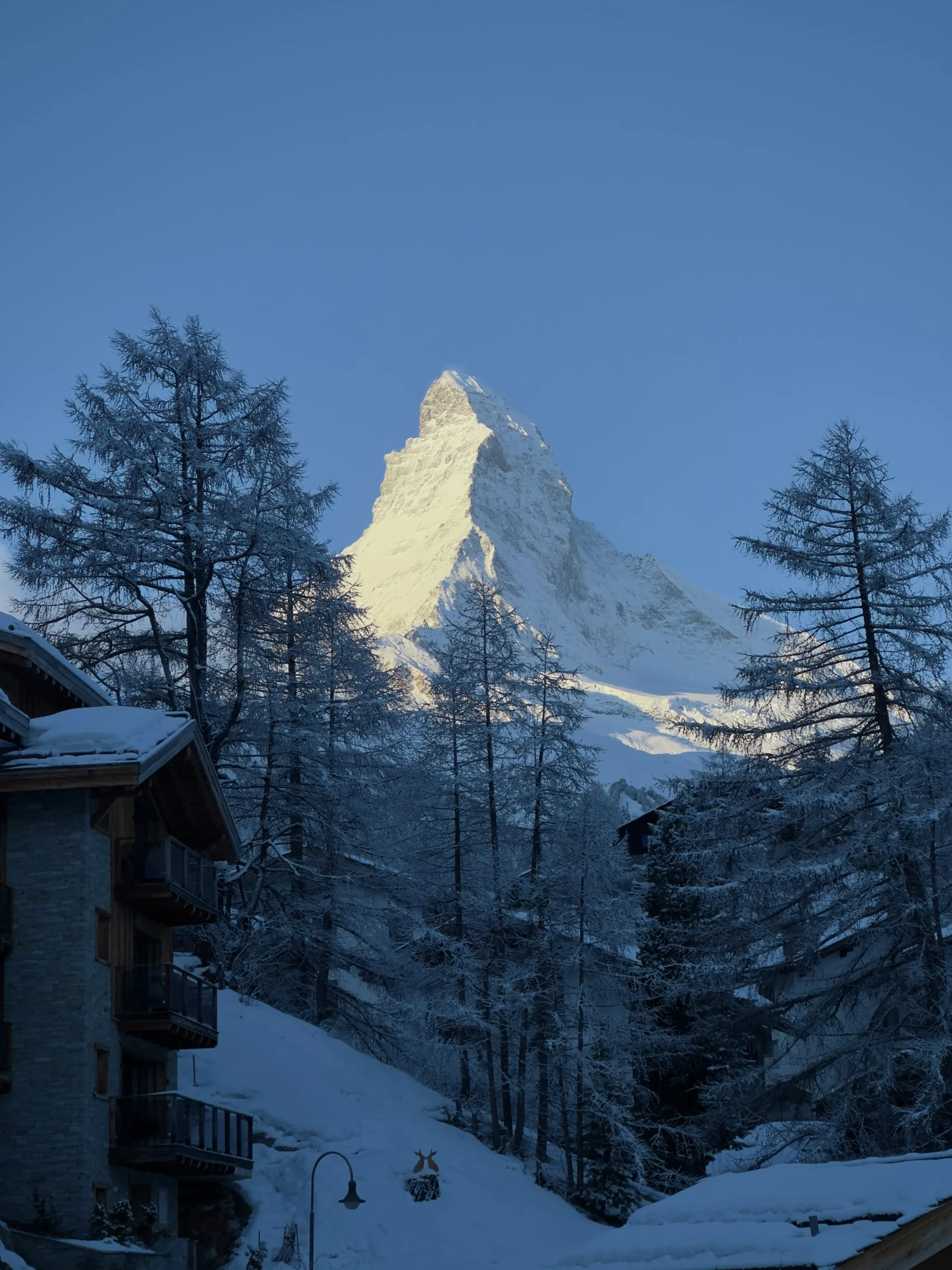 Snow-covered trees and chalet buildings frame a view of the Matterhorn mountain peak, which is bathed in warm sunlight under a clear blue sky.