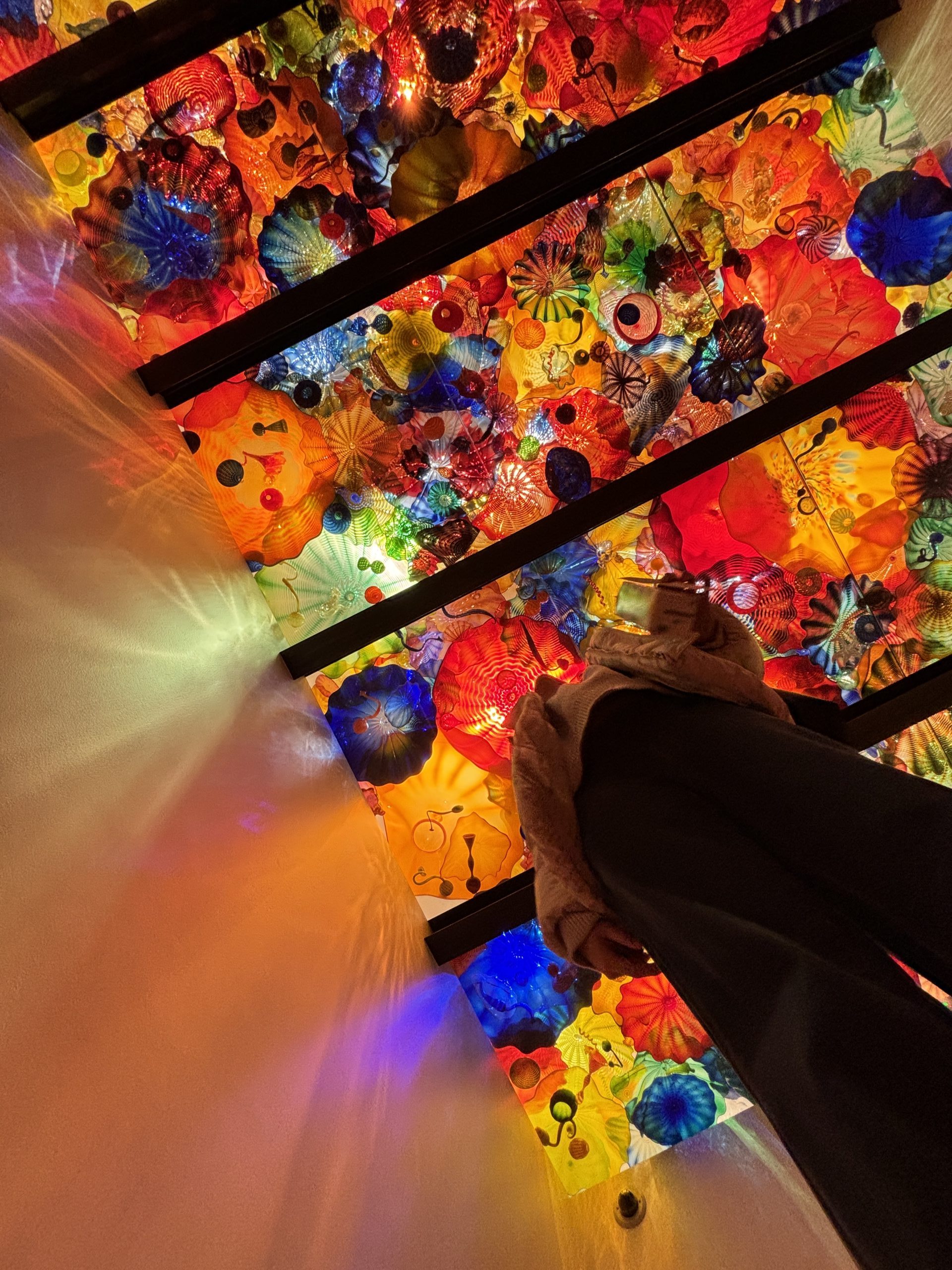 A colorful view looking upward at a ceiling adorned with a vivid array of glass sculptures in bright hues of red, yellow, blue, and orange.