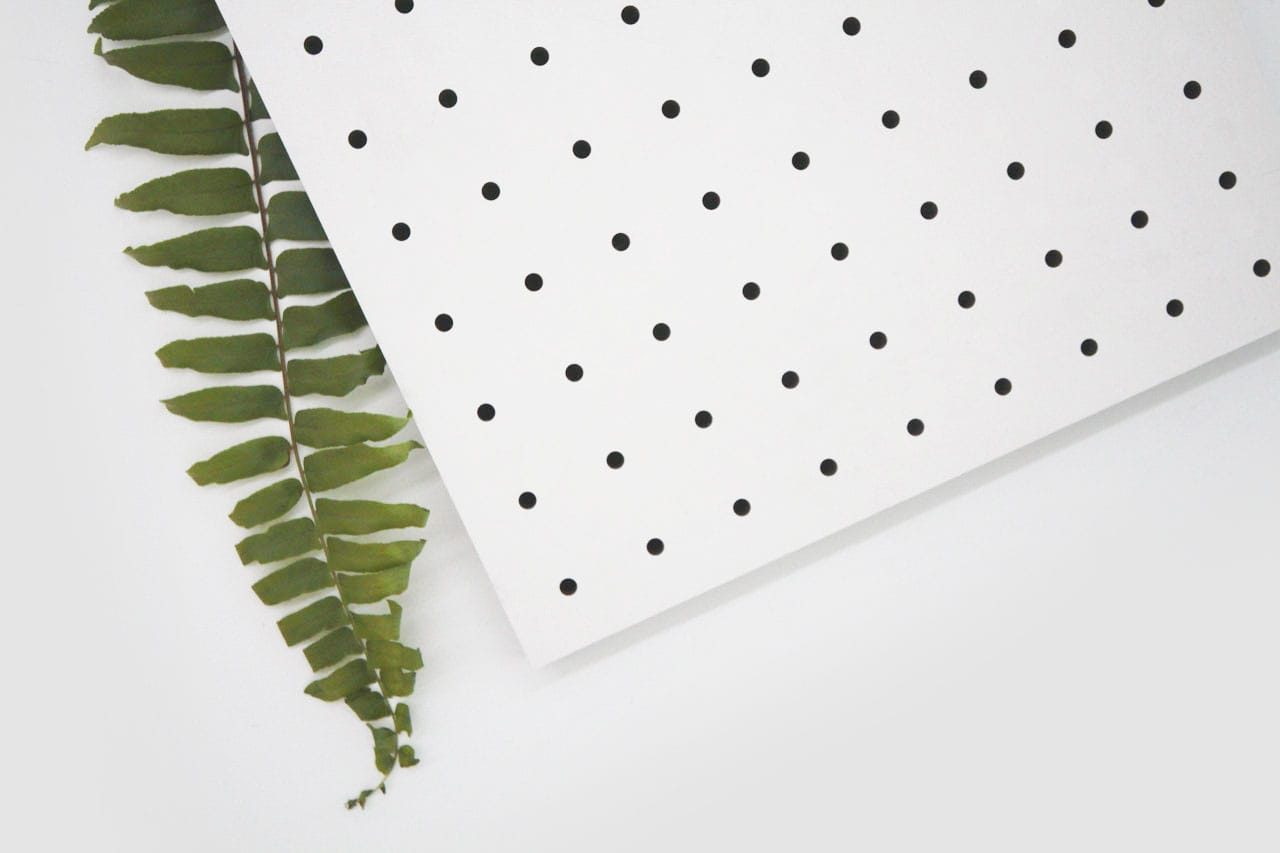 A green fern leaf partially covered by a white sheet of paper with a pattern of evenly spaced black dots, all set against a plain white background.